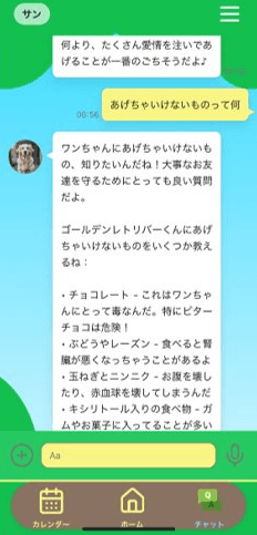 /images/products/petrock/chat.png